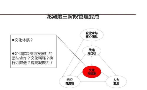 龍湖集團(tuán) 精細(xì)化管理鑄就卓越運(yùn)營(yíng)與穩(wěn)健成長(zhǎng)