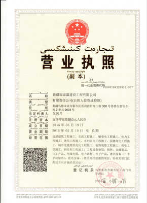 新疆錦泰贏建設工程有限公司 建設工程施工領域的專業實踐與未來發展